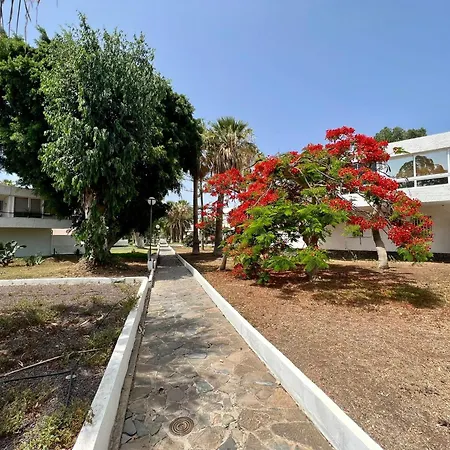 Estudio, 300mtrs De La Playa Con Piscina, Wifi, Bbq Apartamento Costa Del Silencio